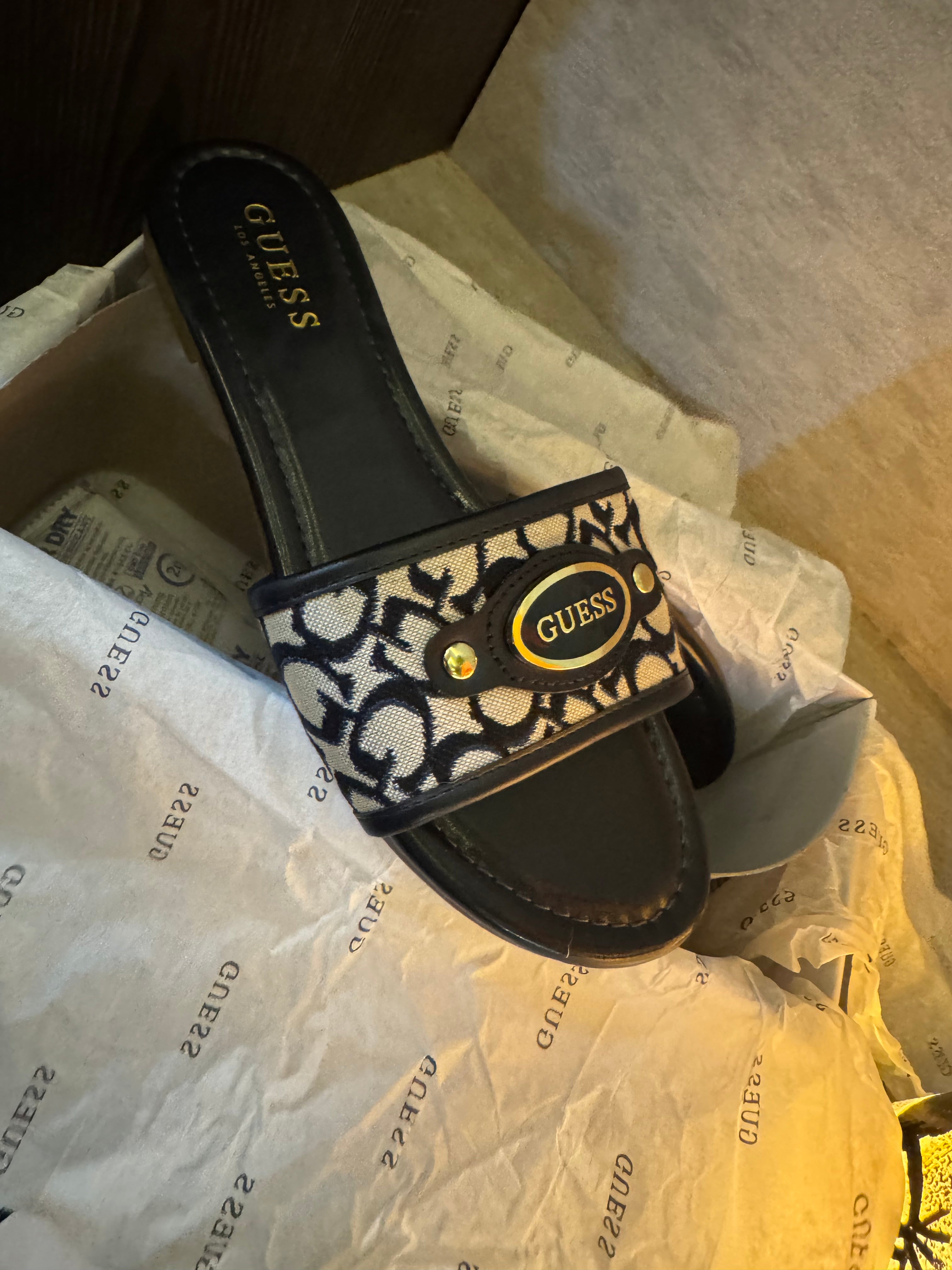GUESS - Lyndons Logo Slides
