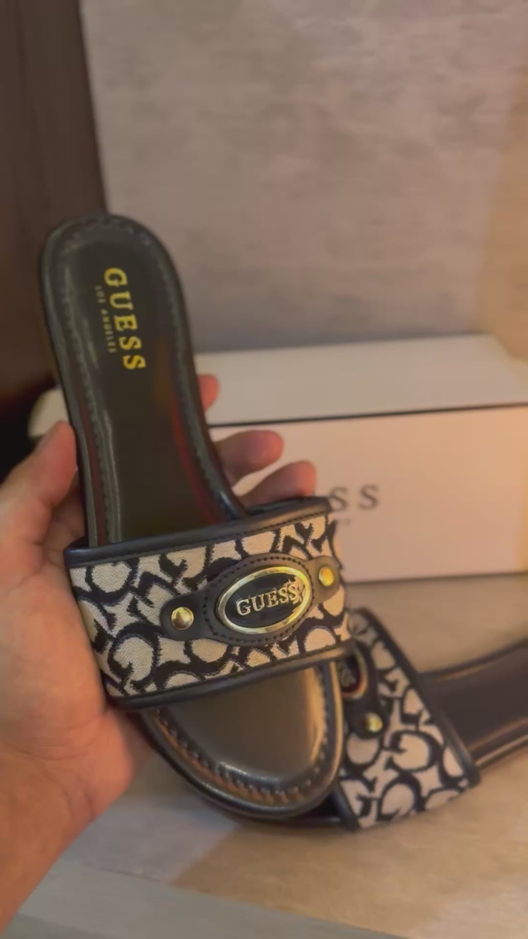 GUESS - Lyndons Logo Slides
